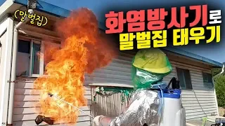 집에있는 말벌집 화염방사기, 물 대포로 제거해봤습니다