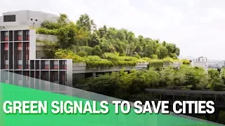 [Arirang Prime] Green Signals to Save Cities