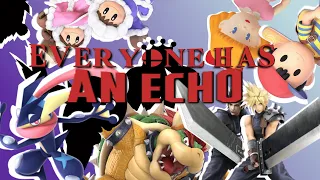 Giving EVERY Fighter in Smash Ultimate An Echo