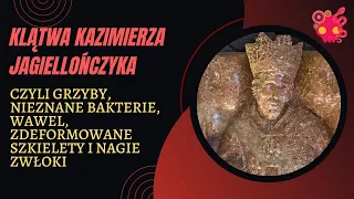 Klątwa Kazimierza Jagiellończyka, czyli czemu kostucha dopadała masowo pracowników zamku na Wawelu.