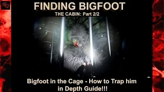 Finding Bigfoot Game Steam (Solo) - How to Trap / Catch him - THE CABIN: Part  2/2