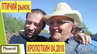 Птичий Рынок. 29.04.2018. Обзор. Кропоткин. Макляк. Макрол.