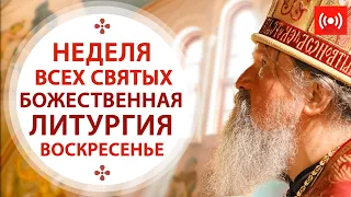 БОЖЕСТВЕННАЯ ЛИТУРГИЯ. Трансляция. 27 июня (воскресенье), в 9:00