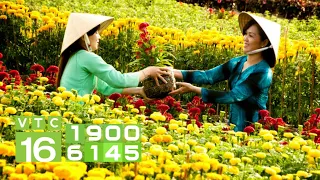 Khám phá làng trồng hoa Sa Đéc 100 năm tuổi | VTC16