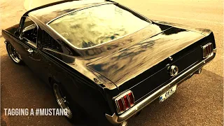 1965 Ford Mustang GT 289 - Tagging a Classic Fastback