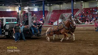 2022 Syracuse NY Heavyweight horse pull