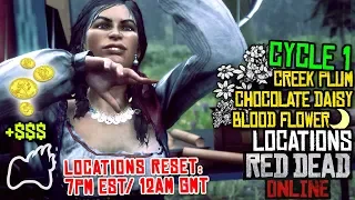 RED DEAD ONLINE Creek Plum, Chocolate Daisy & Blood Flower CYCLE 1 Locations | RDO