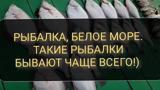 Белое море/Архангельская область/Рыбалка/Камбала/Навага/Корюх