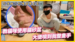 【Qi黃帝】那天我想起來被貓大便支配的恐懼 有夠臭 我整個差點暈倒 | 黃帝の遊戲頻道➤@zxsdexz