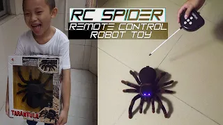 RC Spider Remote Control Robot Toy. | 4CH RC Spider