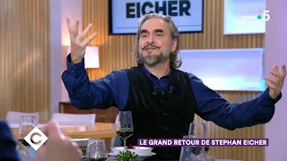 Le grand retour de Stephan Eicher - C à Vous - 12/12/2019