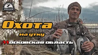 Охота на утку. Грамотная подготовка. Охота в Московской области.