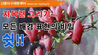 자목련 그리기[ 모든 배경의 비밀 쉿! ]watercolor painting TV foundation 水彩画, 水彩畫, Aquarelle, акварельный