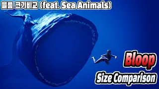 Bloop Size Comparison (블룹 크기 비교) (feat. Sea Animals)