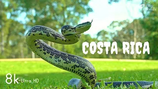 COSTA RICA IN 8K HDR 60fps (Ultra HD) [feeling Worlds]