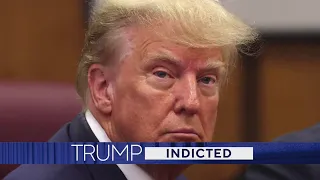 Former president Trump pleads not guilty to 34 felony charges
