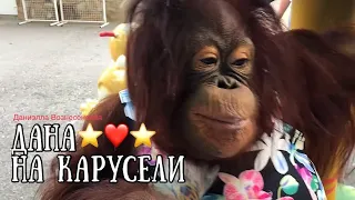 ЭКСКЛЮЗИВ ДАНА -ЗВЕЗДА ТАЙГАНА❤️на качелях под пальмой❤️.Тайган.. Safari park Taigan.