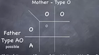 Punnett Square to determine possible blood types