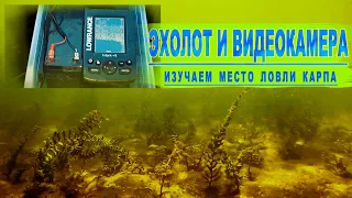 Подводные видеокадры Белого озера. Ловля карпа.