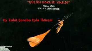 Erkan Oğur & İsmail Hakkı Demircioğlu - Ey Zahit [ Gülün Kokusu Vardı © 1996 Kalan Müzik ]