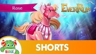 EverRun App - Meet Rose