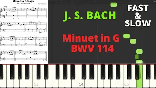 Minuet in G BWV Anhang 114 - BACH - Easy Piano Sheet Music for Beginners - VIDEO TUTORIAL