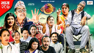 Ulto Sulto | उल्टो सुल्टो | Ep- 287 | 27 Apr, 2024 | Rabi Dangol, Baldip | Nepali Comedy | Media Hub