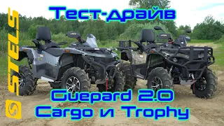 Первый тест-драйв Stels Guepard 2.0 Cargo 800 и Trophy 850