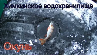 Химкинское водохранилище. Рыбалка на мормышку, окунь, первый лёд