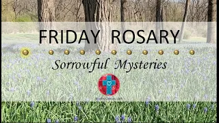 Friday Rosary • Sorrowful Mysteries of the Rosary 💜 Field of Bluebells