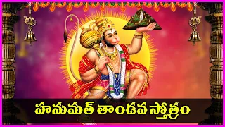 Hanumath Thandava Stotram | Anjaneya Swamy Devotional Songs | Bhakti Songs | V Krishna Teja