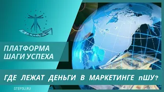 Как зарабатывать на платформе Шаги Успеха? Маркетинг и многофункциональность заработка.