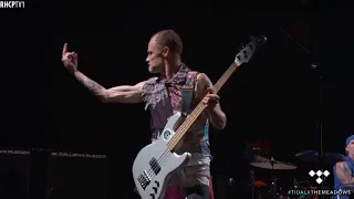 Flea Gets Angry With His Bass Tech!