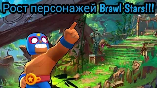 Рост бравлеров !!! Brawl Stars