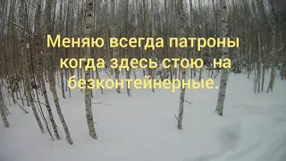 Охота с Эг Фаготом на зайца беляка 3 01 2020 г Кировская область "Восмёркин" сгоненый заяц Фагота!!!