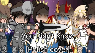 You Didn't Know [Polish cover] //GCMV