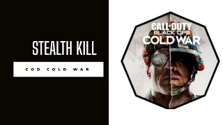 Call of Duty: Black Ops Cold War Stealth Kills #2 (Echoes of a Cold War) Realism/No Damage