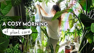 Rehabbing, Pest-Treating + Pottering With Plants 🌿 Plant Chores and Chat