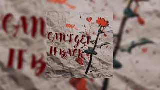 Prinz - Can't Get It Back (Official Lyric Video) | @prinzmusic_