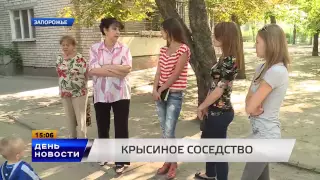 День. Новости.TV5 Выпуск 15.00