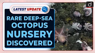 Rare Deep-sea Octopus Nursery Discovered | Latest update | Drishti IAS English