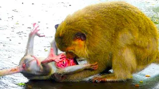 20 Worst Animal Parents In The World