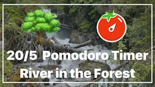 20/5 Pomodoro Timer | River in the Forest🌳 | Ambience Nature Sounds