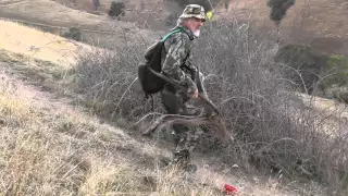 Bow Hunting Foxes with a Recurve Bow.