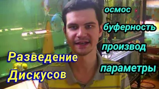 Дискусы: основы разведения и подготовки нерестовой воды