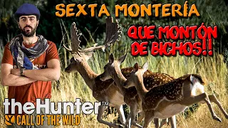 🐗GRAN MONTERÍA DE JABALÍES CON NOTZYHUNT🐗 | THE HUNTER CALL OF THE WILD🌿