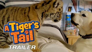 A Tiger's Tail (2014) | Trailer | Christopher Judge | Greg Grunberg | Darlene Vogel