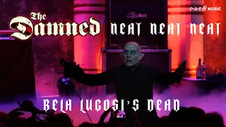 THE DAMNED 'Neat Neat Neat / Bela Lugosi's Dead' from 'A Night Of A Thousand Vampires'