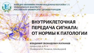 Лекция - Профессор Катанаев В.Л. - Внутриклеточная передача сигнала: от нормы к патологии
