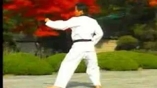 4. Taekwondo Poomsae Taegeuk Sa Jang (WTF)
